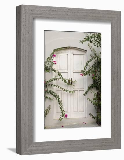 Todos Santos, Mexico. White door in a white wall partly covered with flowers.-Julien McRoberts-Framed Photographic Print