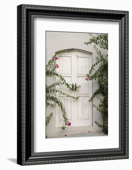 Todos Santos, Mexico. White door in a white wall partly covered with flowers.-Julien McRoberts-Framed Photographic Print