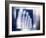 Toes, X-ray-Miriam Maslo-Framed Photographic Print