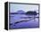 Tofino, Vancouver Island, British Columbia (B.C.), Canada, North America-Rob Cousins-Framed Premier Image Canvas