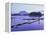 Tofino, Vancouver Island, British Columbia (B.C.), Canada, North America-Rob Cousins-Framed Premier Image Canvas