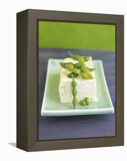 Tofu and Soybeans-Leigh Beisch-Framed Premier Image Canvas