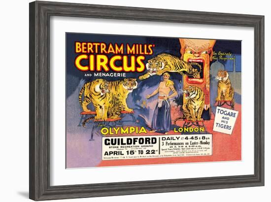 Togare and his Tigers: Bertram Mills' Circus and Menagerie-null-Framed Art Print