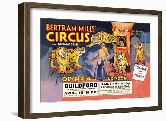 Togare and his Tigers: Bertram Mills' Circus and Menagerie-null-Framed Art Print