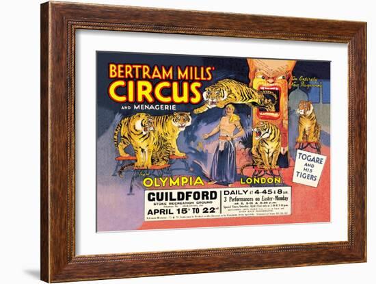 Togare and his Tigers: Bertram Mills' Circus and Menagerie--Framed Art Print