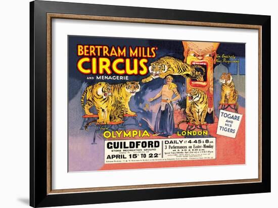 Togare and his Tigers: Bertram Mills' Circus and Menagerie-null-Framed Art Print