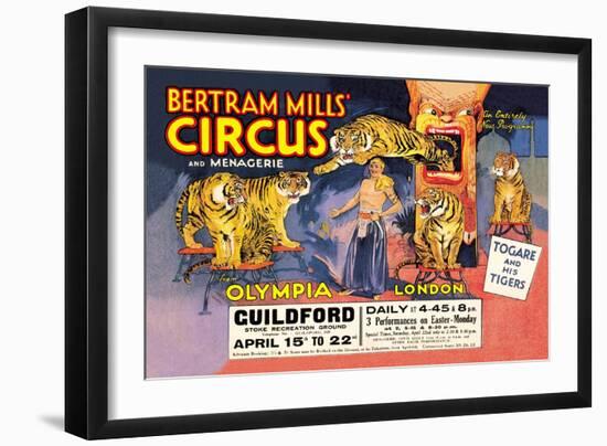 Togare and his Tigers: Bertram Mills' Circus and Menagerie--Framed Art Print