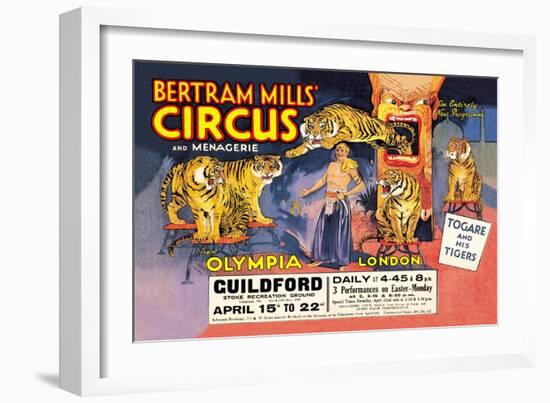 Togare and his Tigers: Bertram Mills' Circus and Menagerie-null-Framed Art Print