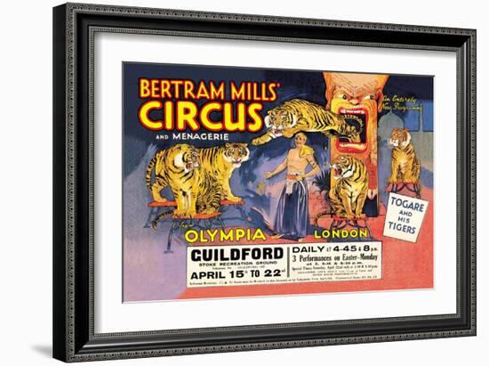 Togare and his Tigers: Bertram Mills' Circus and Menagerie-null-Framed Art Print