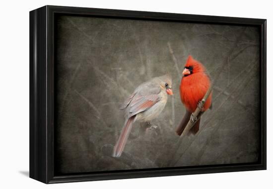 Together Again-Jai Johnson-Framed Premier Image Canvas