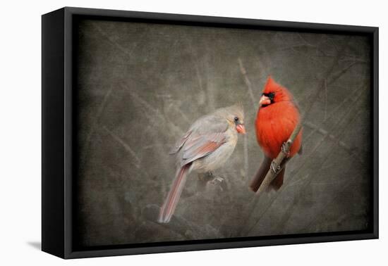 Together Again-Jai Johnson-Framed Premier Image Canvas