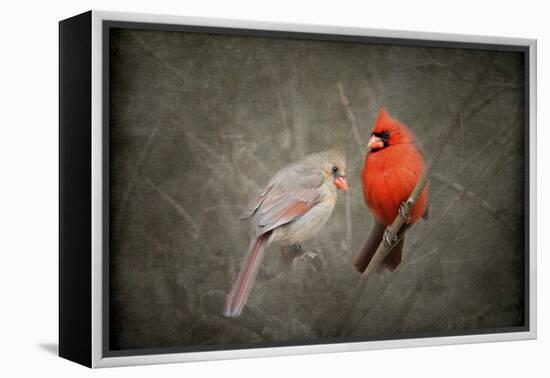 Together Again-Jai Johnson-Framed Premier Image Canvas