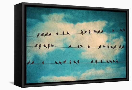 Together Again-Gail Peck-Framed Stretched Canvas