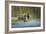 Together Forever-Bruce Dumas-Framed Giclee Print