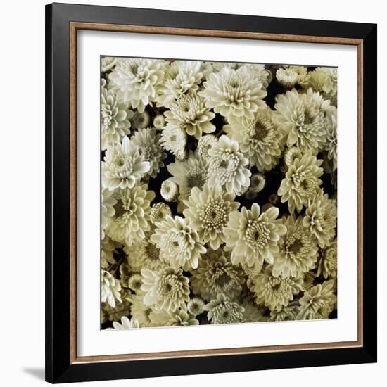 Together-Heidi Westum-Framed Photographic Print