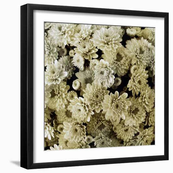 Together-Heidi Westum-Framed Photographic Print