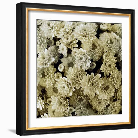 Together-Heidi Westum-Framed Photographic Print