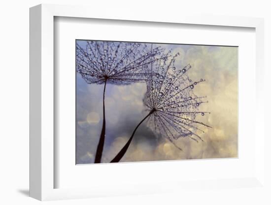 Together-Heidi Westum-Framed Photographic Print