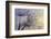 Together-Heidi Westum-Framed Photographic Print