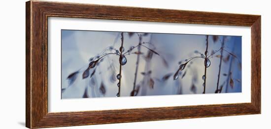 Togetherness-Heidi Westum-Framed Photographic Print