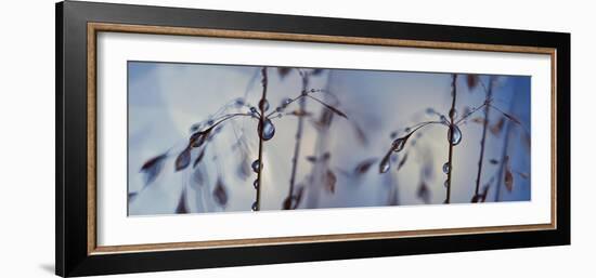 Togetherness-Heidi Westum-Framed Photographic Print