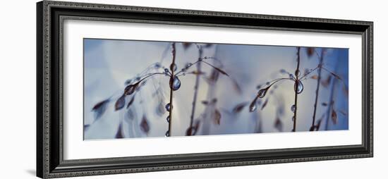 Togetherness-Heidi Westum-Framed Photographic Print