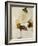 Toggle I-Kari Taylor-Framed Giclee Print