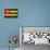 Togo Flag Design with Wood Patterning - Flags of the World Series-Philippe Hugonnard-Mounted Art Print displayed on a wall