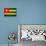 Togo Flag Design with Wood Patterning - Flags of the World Series-Philippe Hugonnard-Premium Giclee Print displayed on a wall