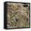 Toilet Paper, SEM-Steve Gschmeissner-Framed Premier Image Canvas