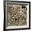 Toilet Paper, SEM-Steve Gschmeissner-Framed Premium Photographic Print