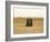 Toilet-Nico Tondini-Framed Photographic Print