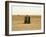 Toilet-Nico Tondini-Framed Photographic Print