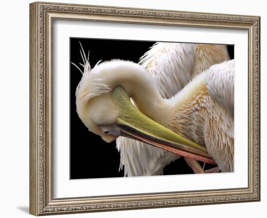 Toileting-Thierry Dufour-Framed Giclee Print