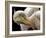 Toileting-Thierry Dufour-Framed Giclee Print