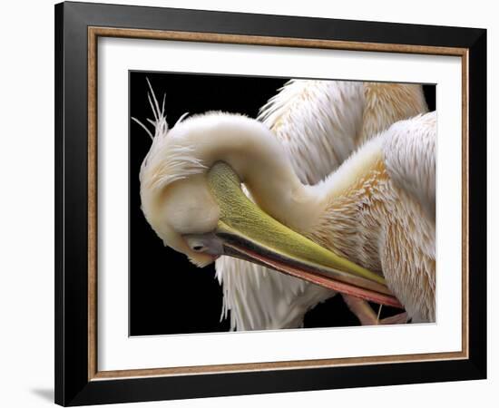 Toileting-Thierry Dufour-Framed Giclee Print