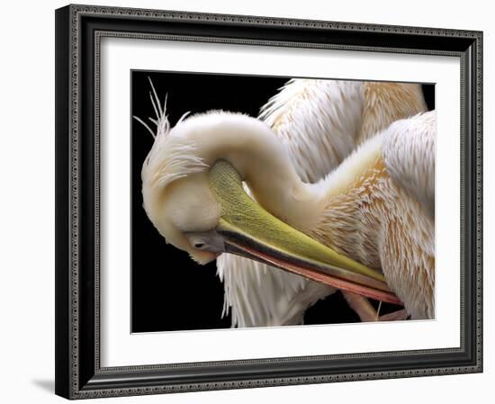 Toileting-Thierry Dufour-Framed Giclee Print