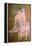 Toilette-Henri de Toulouse-Lautrec-Framed Premier Image Canvas