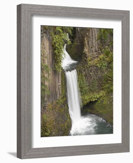 Toketee Falls in Douglas County, Oregon, USA-William Sutton-Framed Photographic Print
