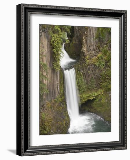 Toketee Falls in Douglas County, Oregon, USA-William Sutton-Framed Photographic Print