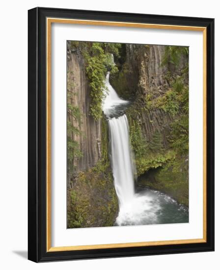 Toketee Falls in Douglas County, Oregon, USA-William Sutton-Framed Photographic Print