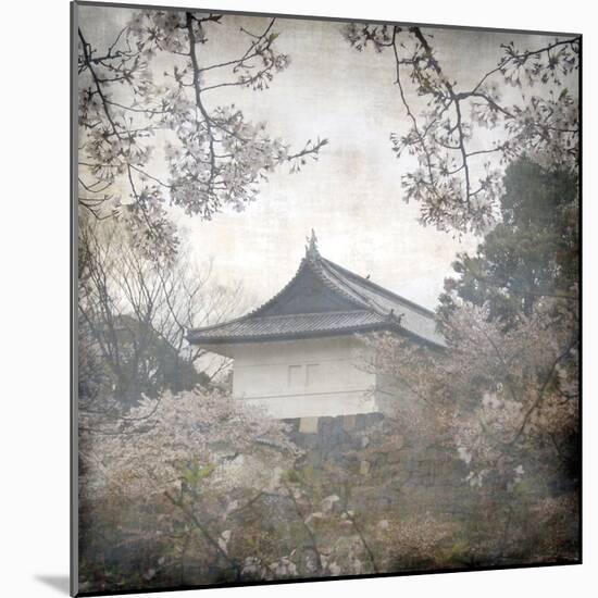 Tokyo Blossoms-Tony Koukos-Mounted Giclee Print