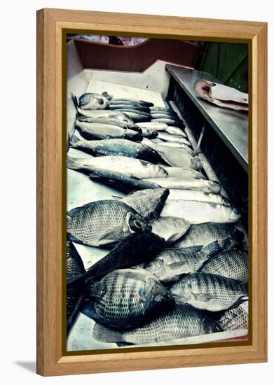 Tokyo Fish Market-null-Framed Stretched Canvas