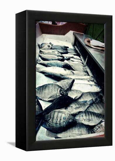 Tokyo Fish Market-null-Framed Stretched Canvas