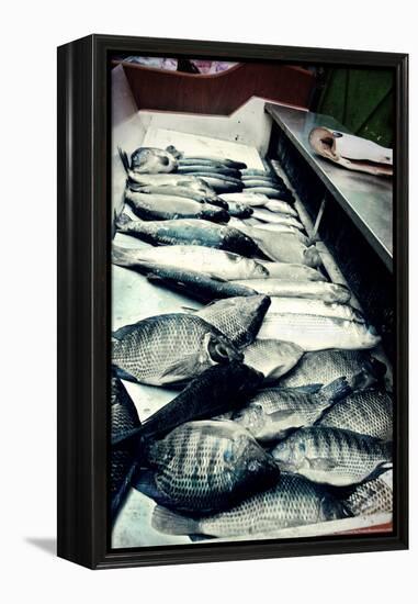 Tokyo Fish Market-null-Framed Stretched Canvas