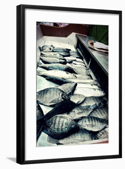 Tokyo Fish Market-null-Framed Photo