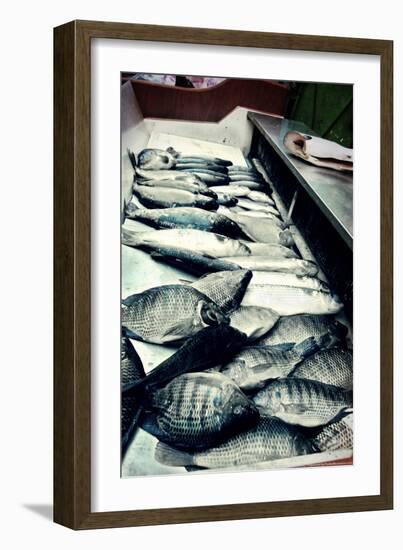 Tokyo Fish Market-null-Framed Photo