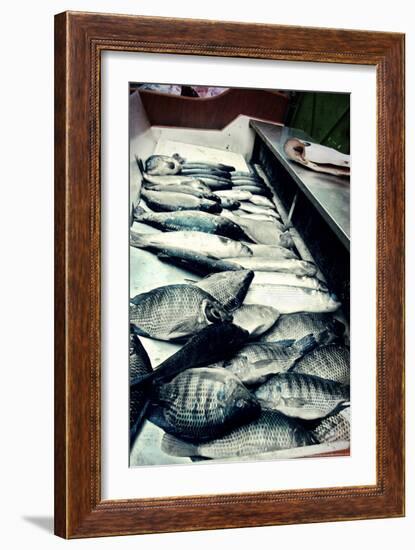 Tokyo Fish Market-null-Framed Photo