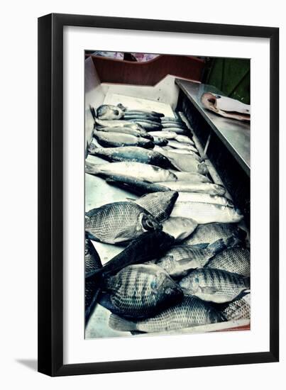 Tokyo Fish Market--Framed Photo