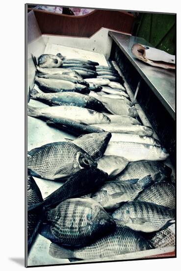 Tokyo Fish Market-null-Mounted Photo